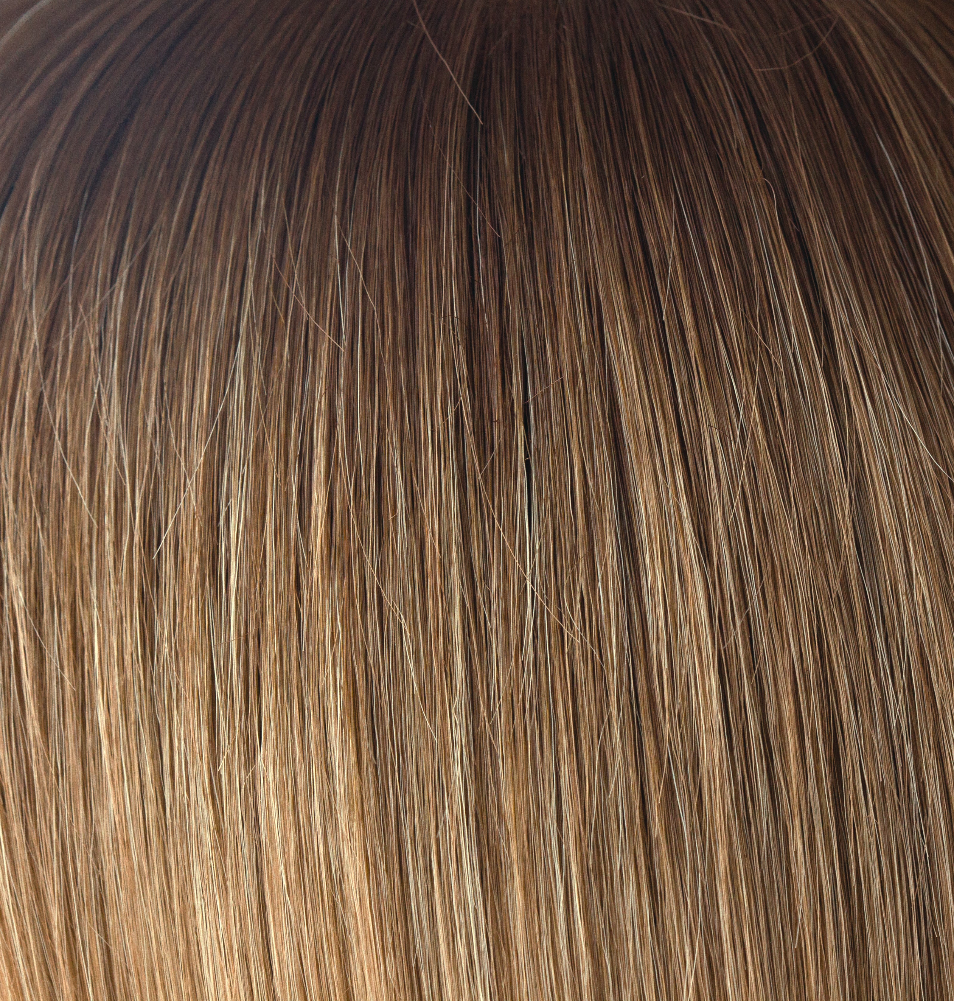 Macadamia-LR — Alexander Couture color swatch