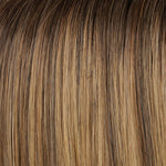 Aurora by Jon Renau – Shaded Mocha 24BT18S8 color swatch