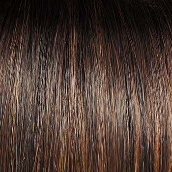 Selfie Mode by Raquel Welch – RL8/29SS Shaded Hazelnut color swatch