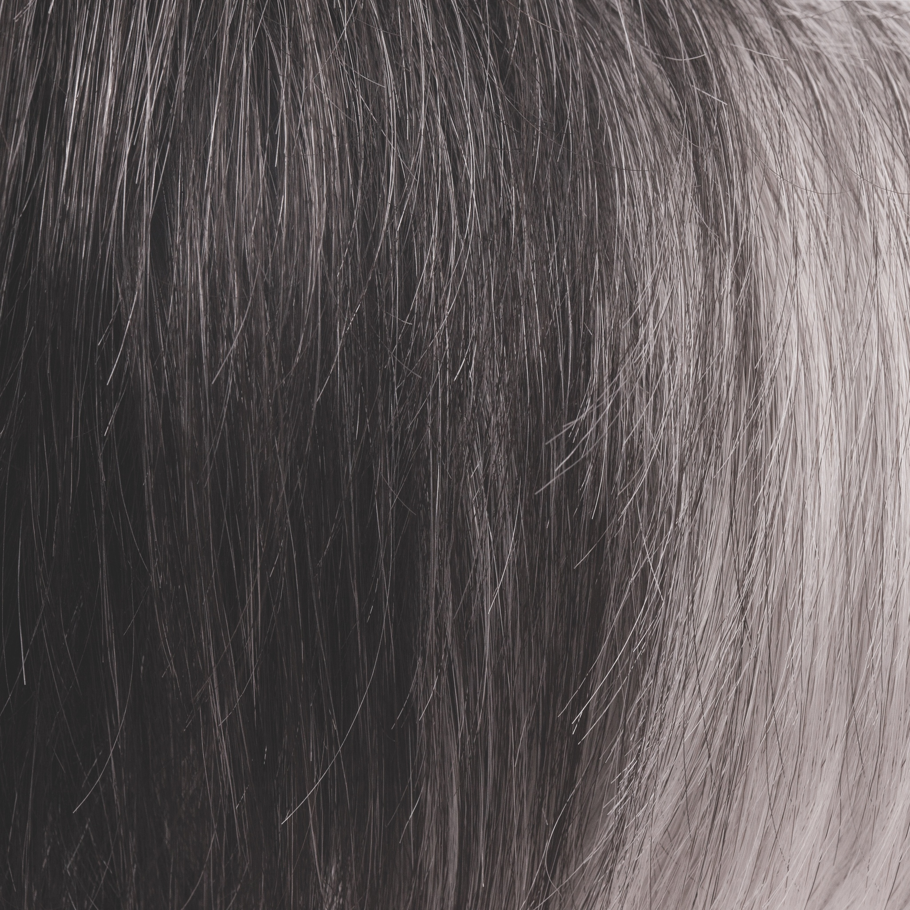 Liora color swatch — Black Onyx