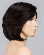 Brilliance Plus Deluxe by Ellen Wille