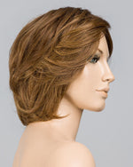 Brilliance Plus Deluxe by Ellen Wille