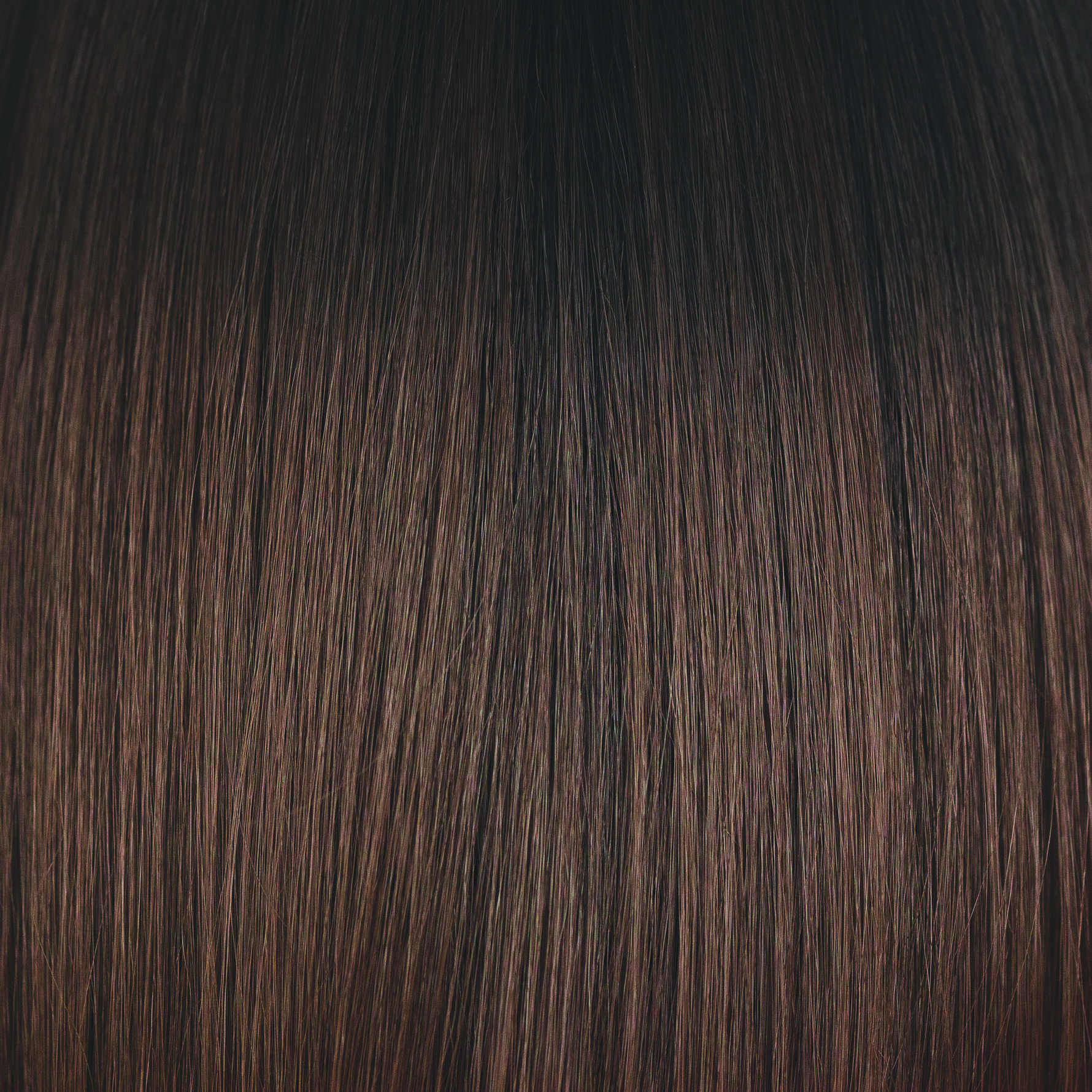 Liora color swatch — Cafe Ole