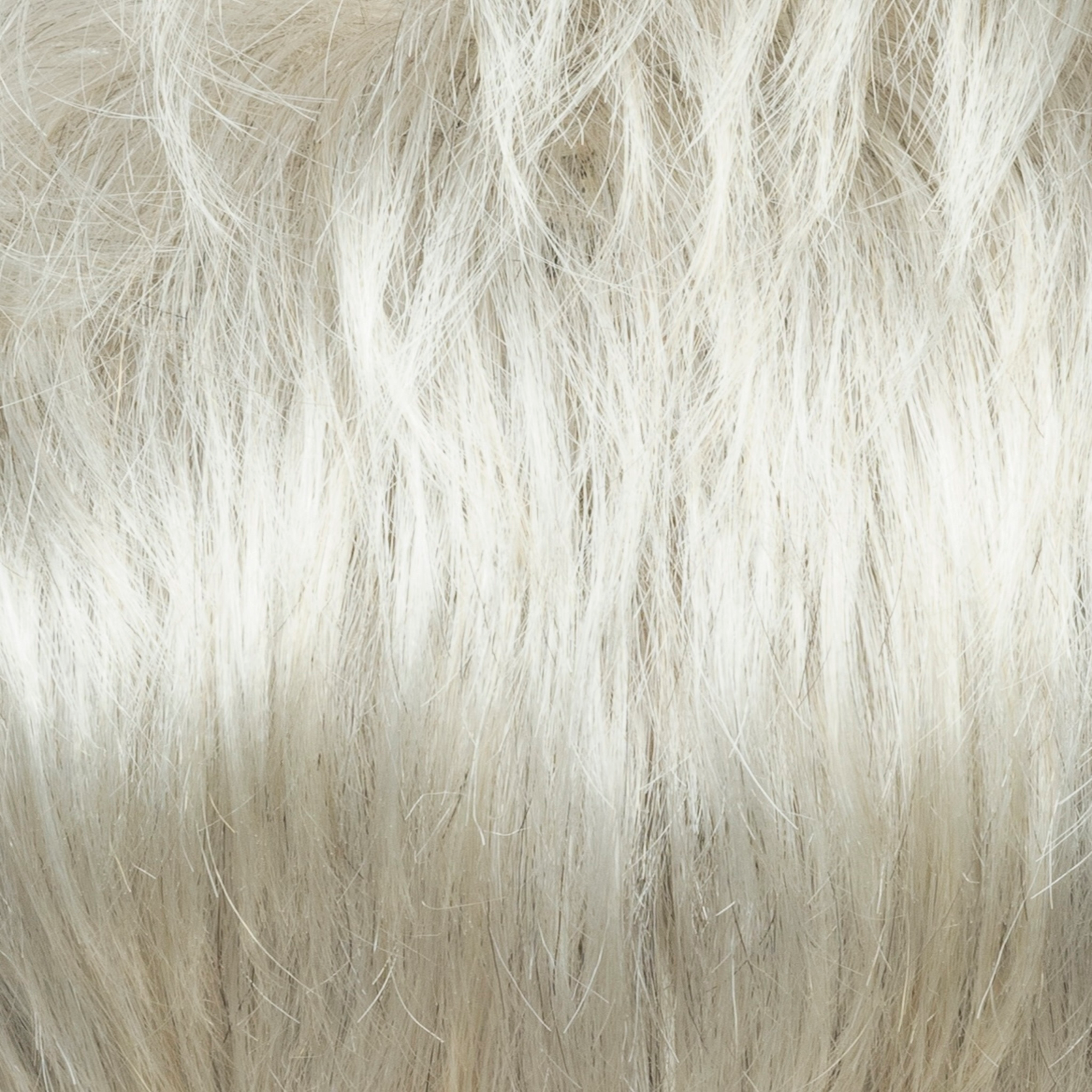 Liora color swatch — Champagne Silver