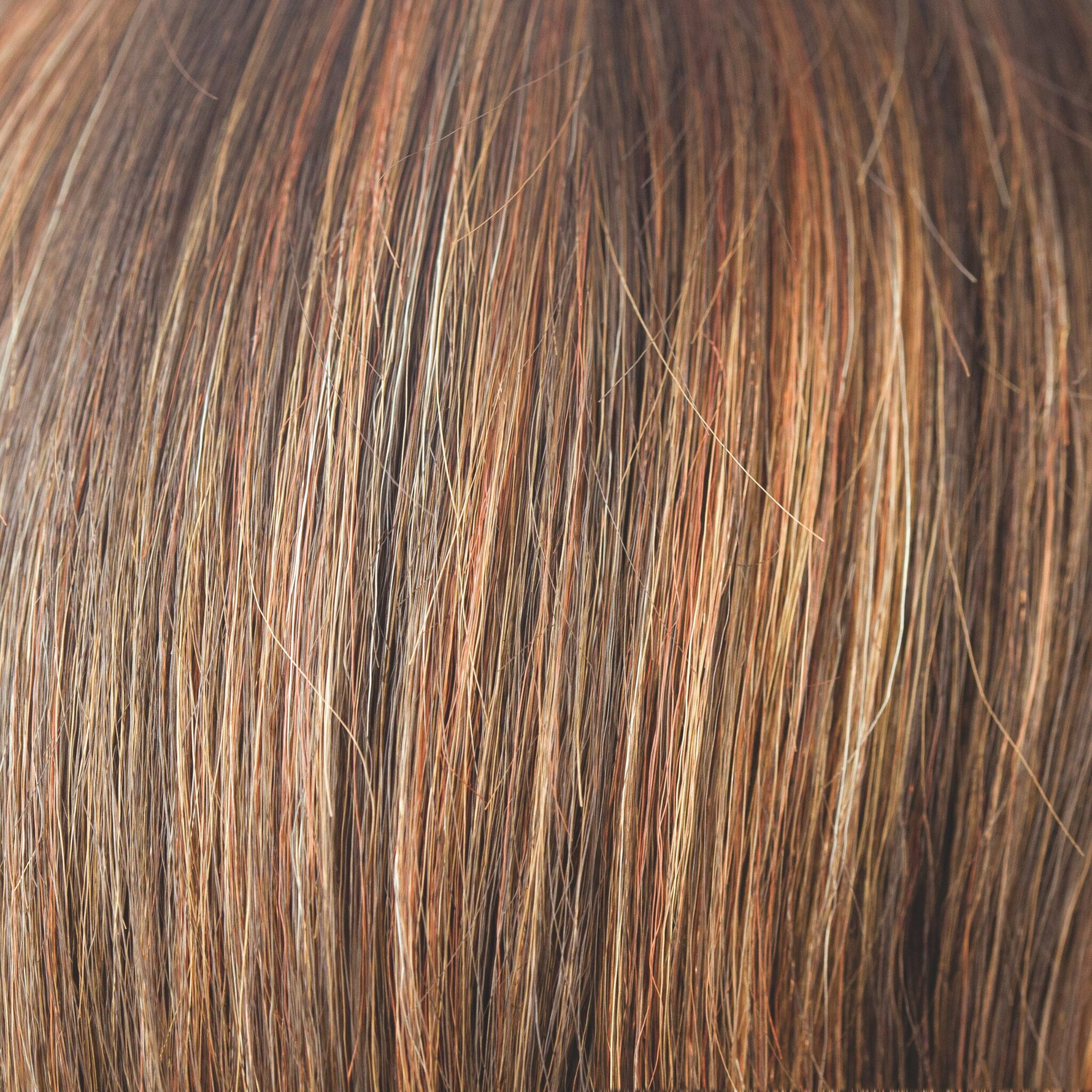 Liora color swatch — Dark Rust