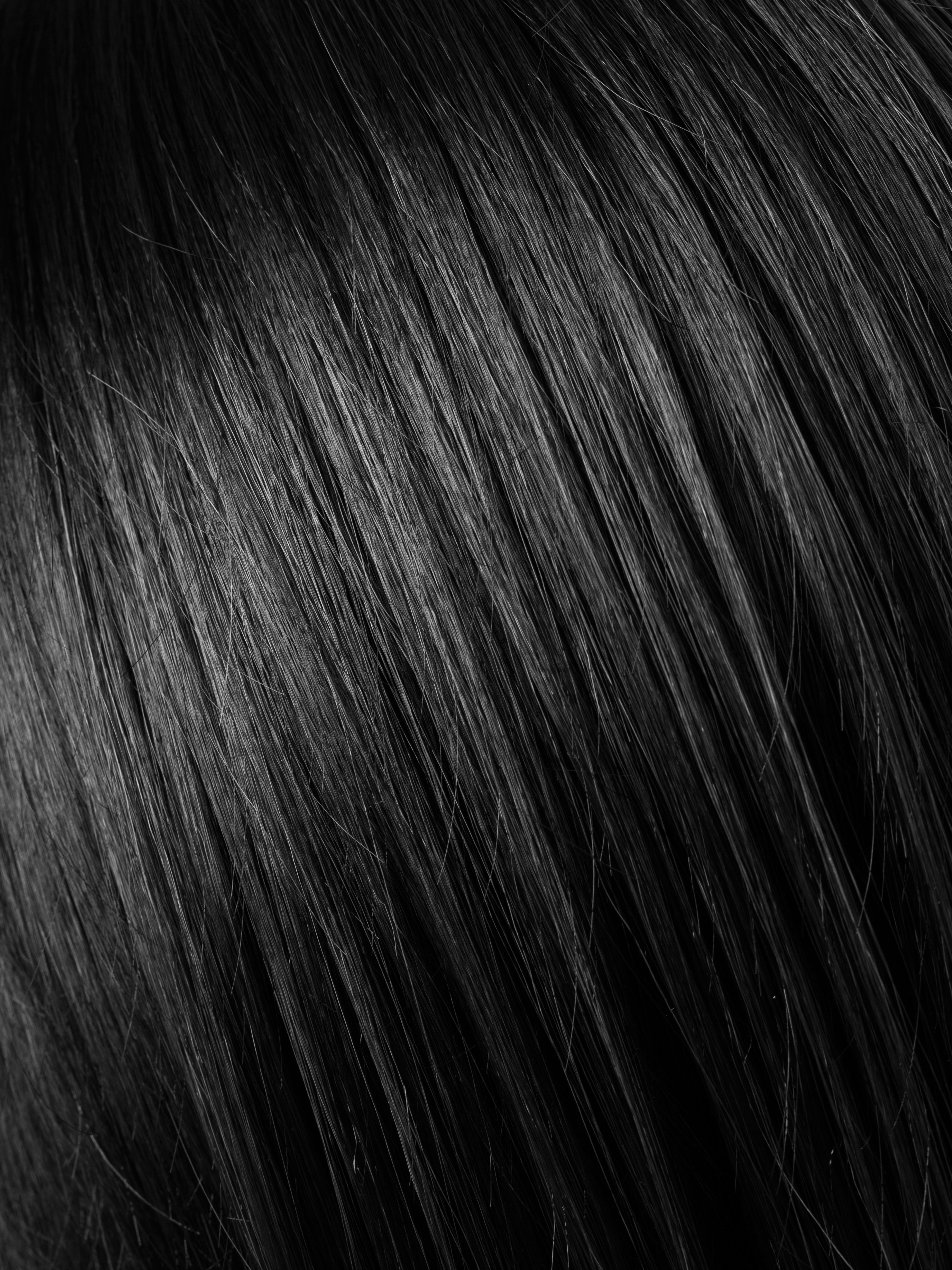 Ebony Black color swatch