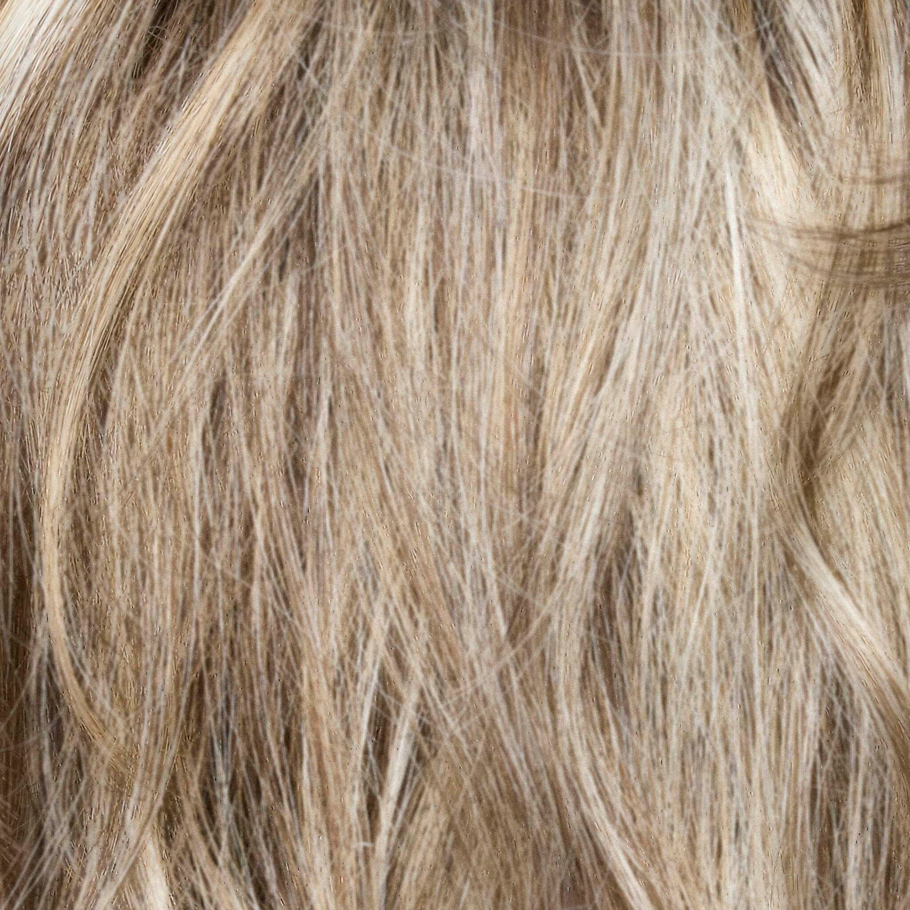 Liora color swatch — Frosted Mushroom-R