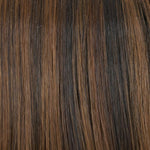 Amber by Jon Renau in Brownie Blondies 4/27/30 color swatch