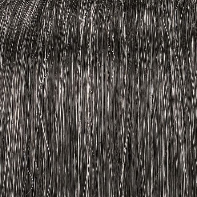 Courtney by Jon Renau in Peppercorn 1B/60 color swatch