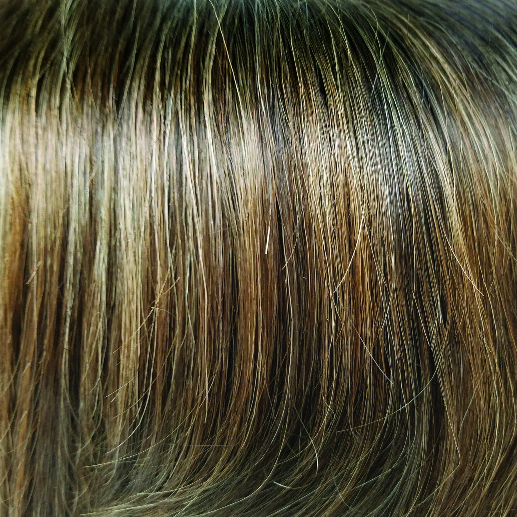 Liora color swatch — Kandy Brown-LR