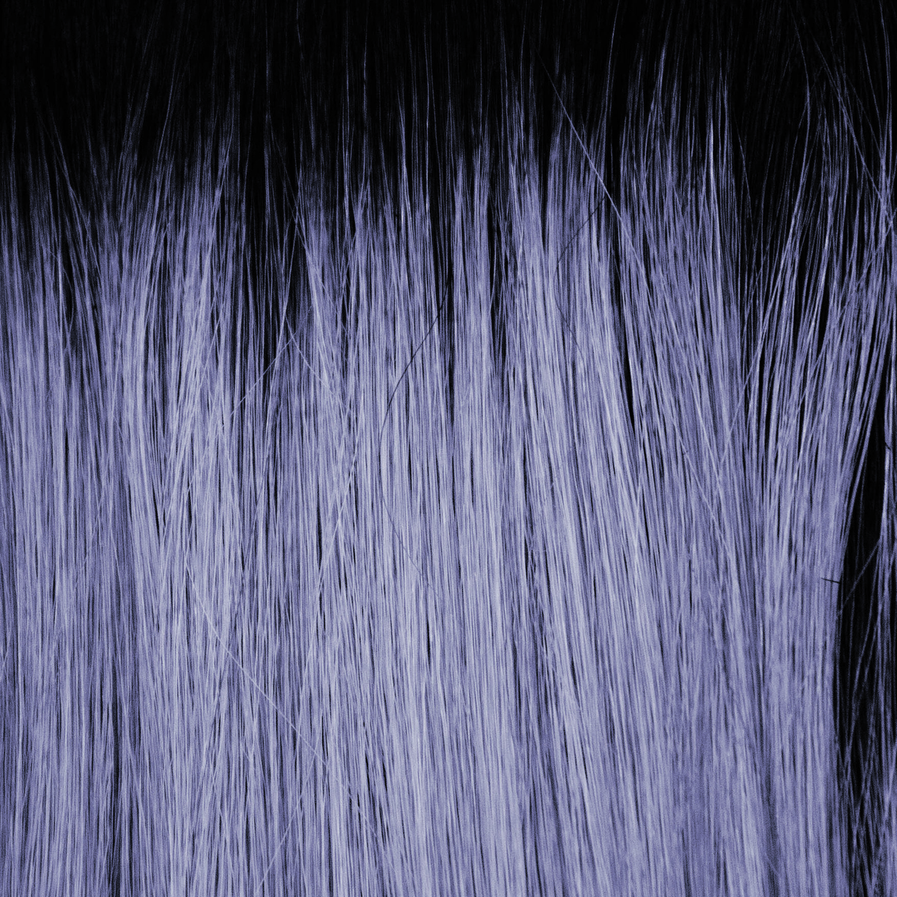 Panache Wavez by René of Paris – official model view 16