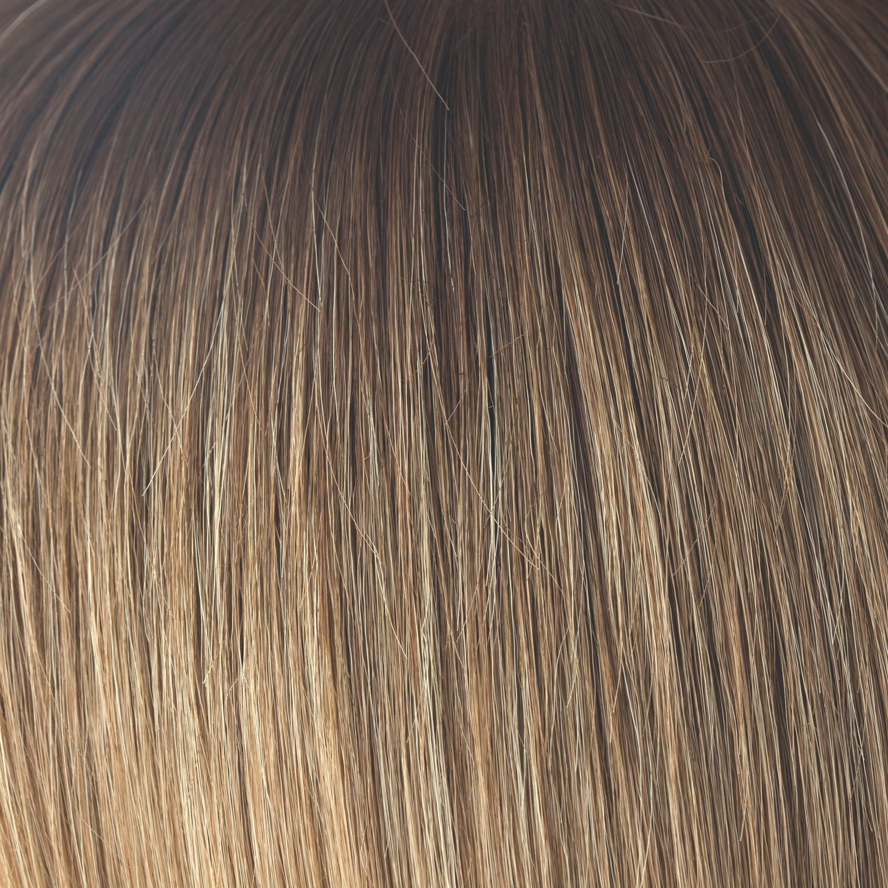 Liora color swatch — Macadamia-LR