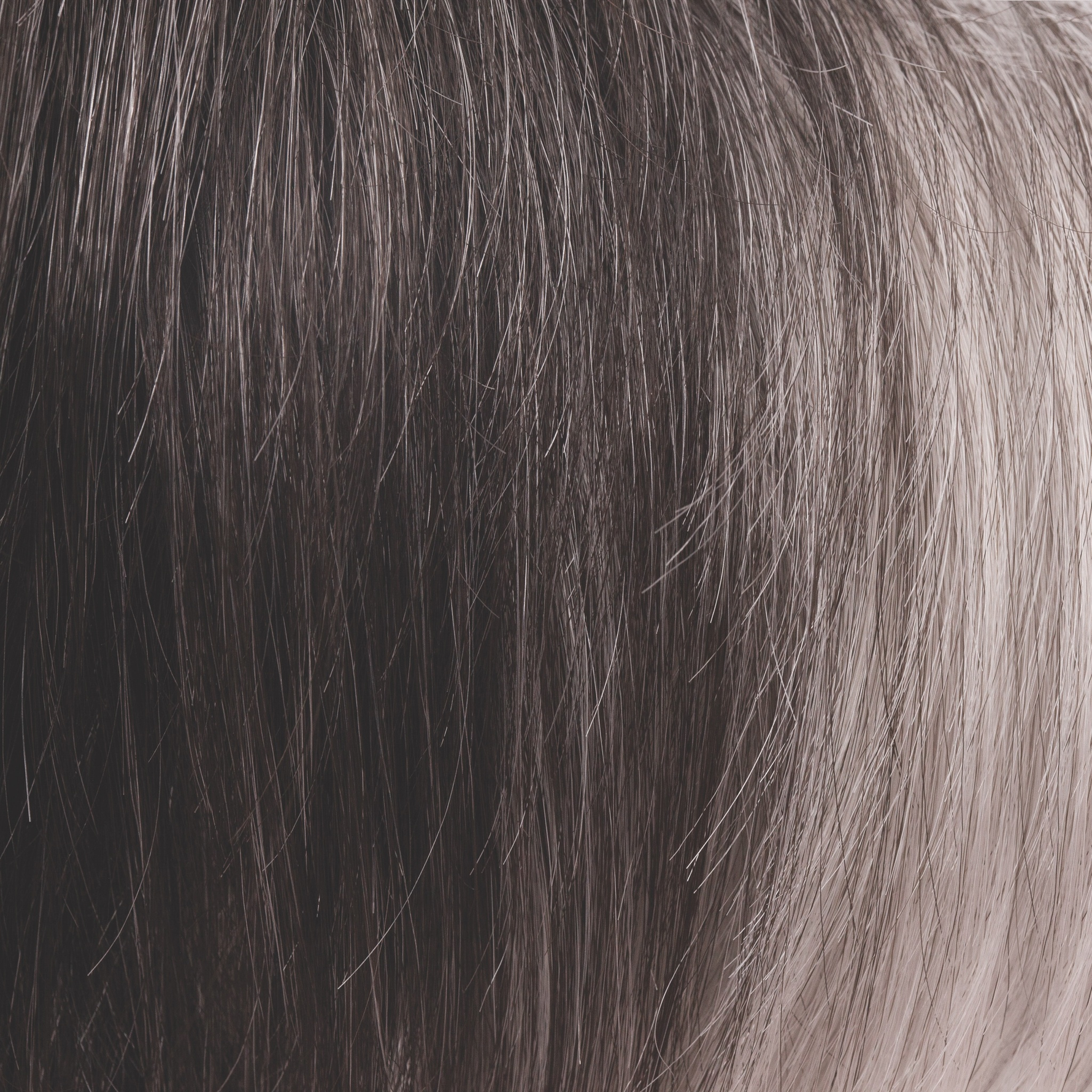 Liora color swatch — Midnight Pearl