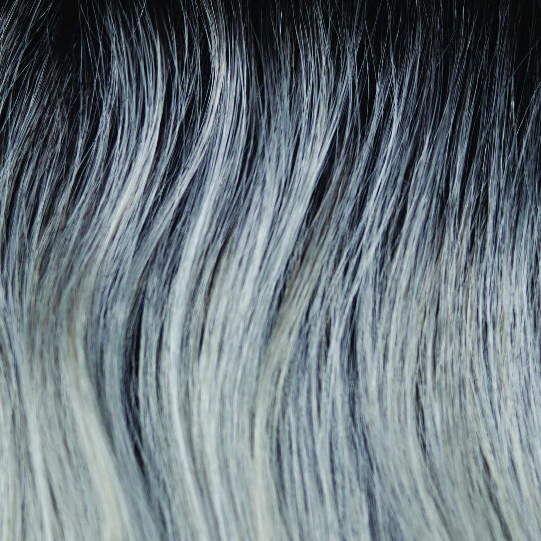 Liora color swatch — Moonstone