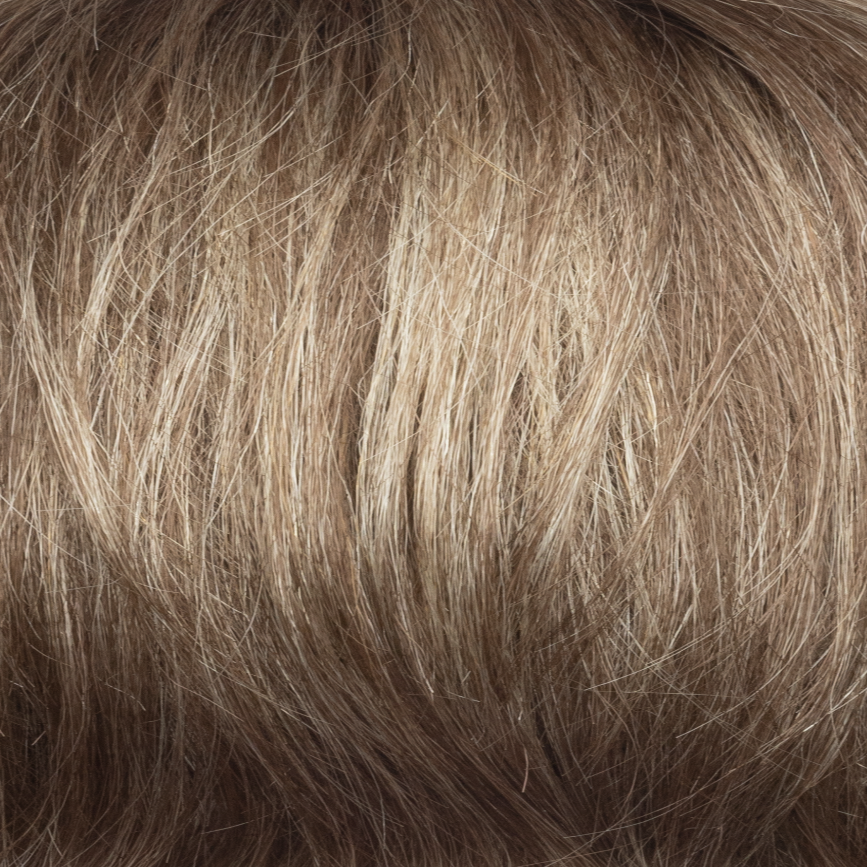 Liora color swatch — NM Cashmere Brown-SR