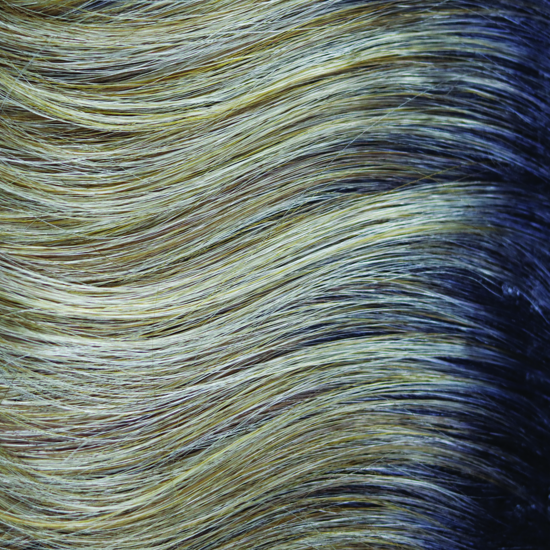 Liora color swatch — Peanutbutter Swirl