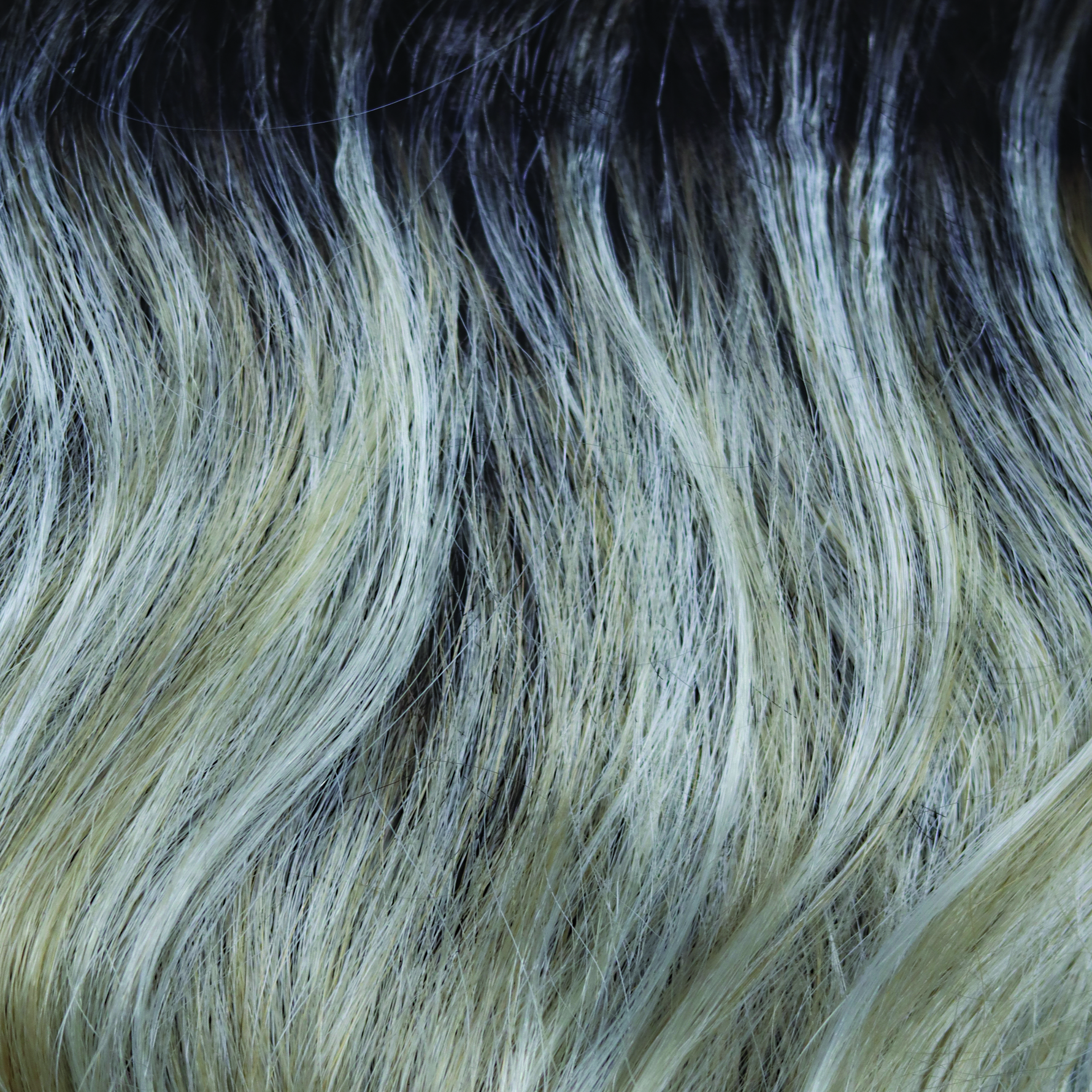 Liora color swatch — Shadowed Custard