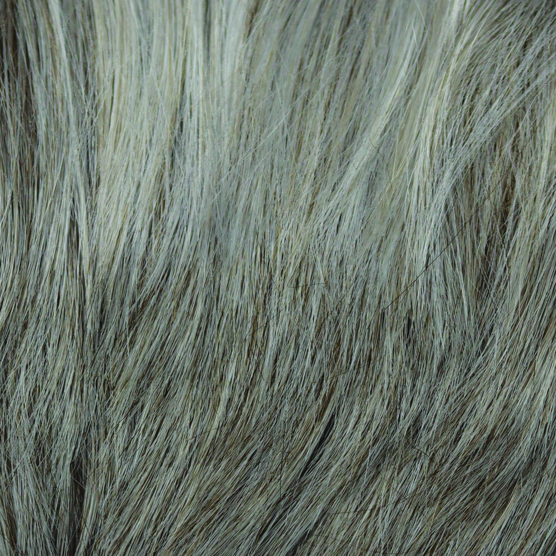 Liora color swatch — Silver Frost