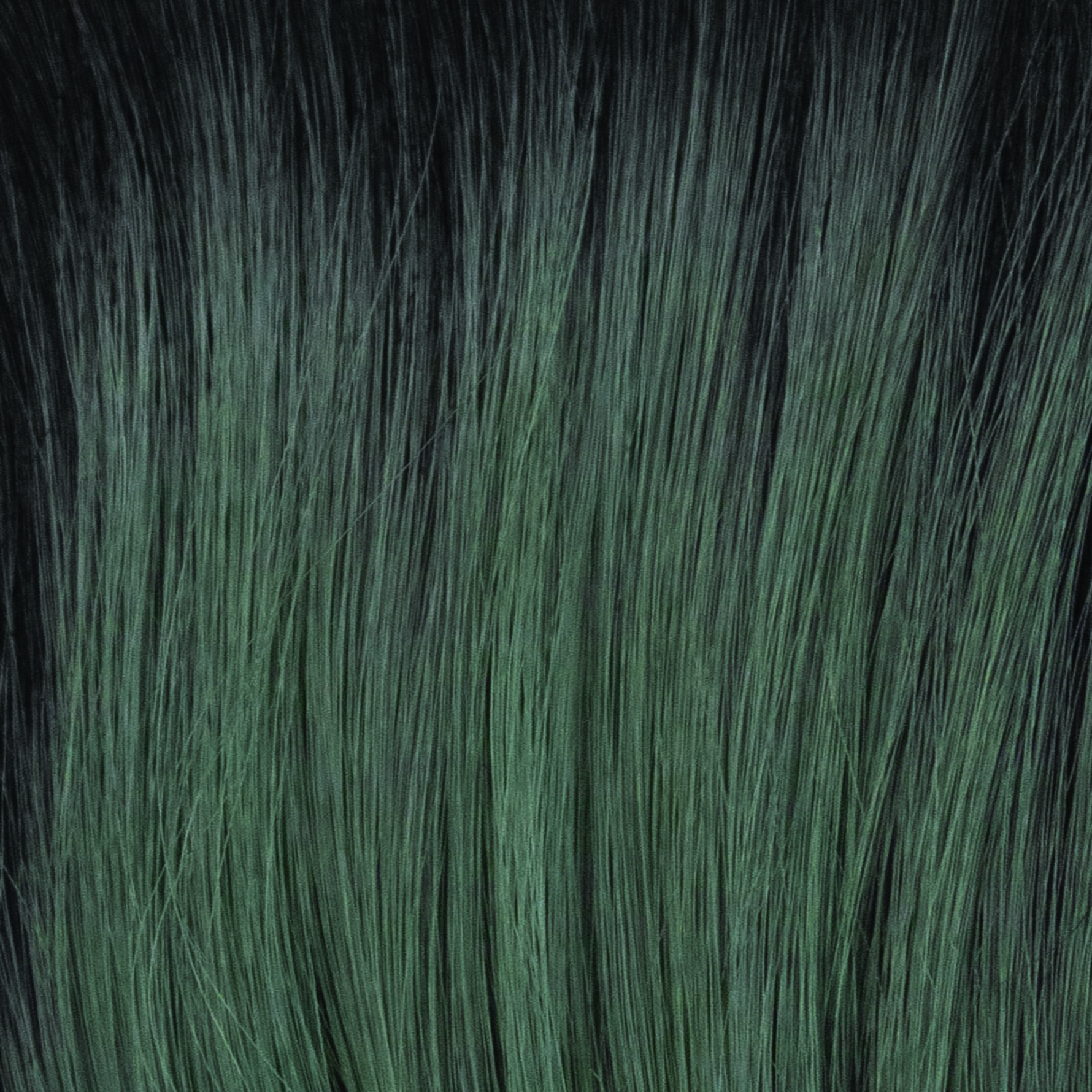 Liora color swatch — Smoky Forest