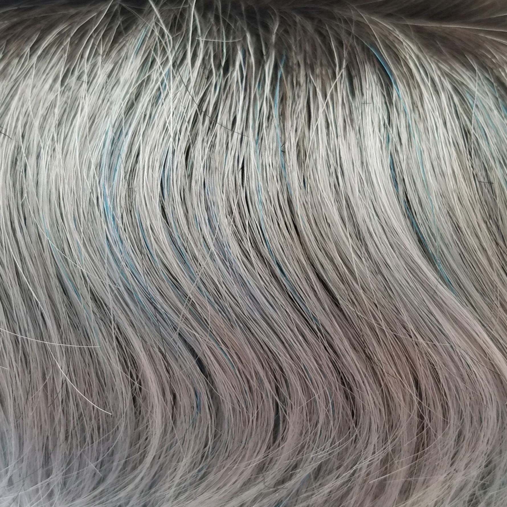 Liora color swatch — Snowy Sapphire-R