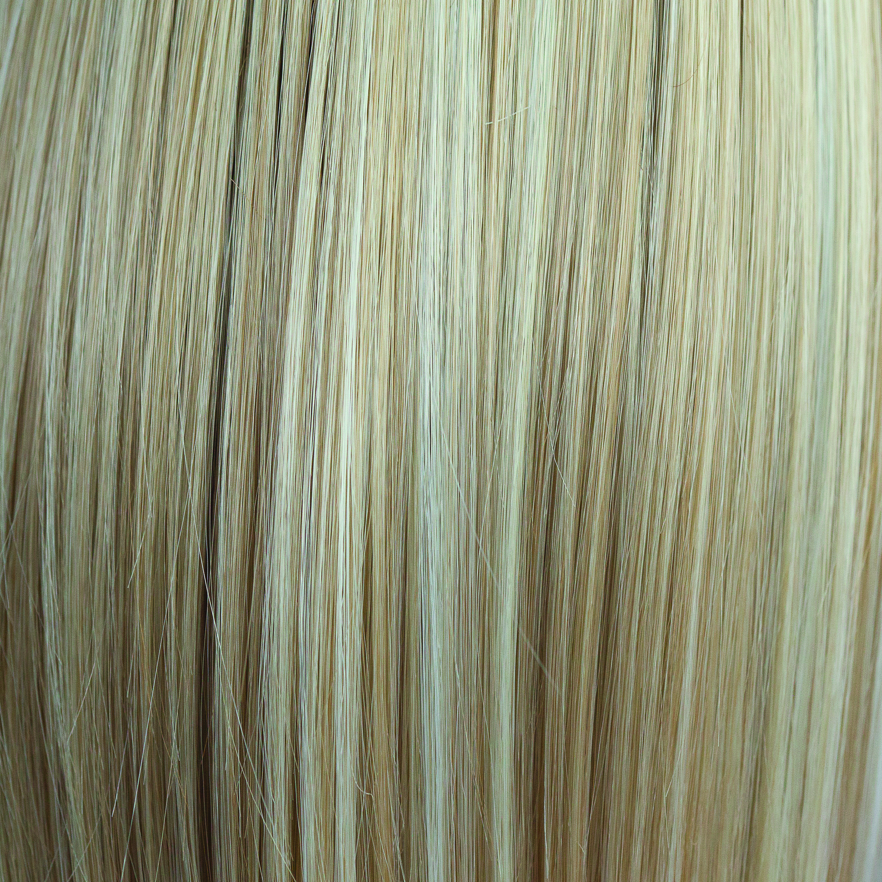 Liora color swatch — Sugar Cookie