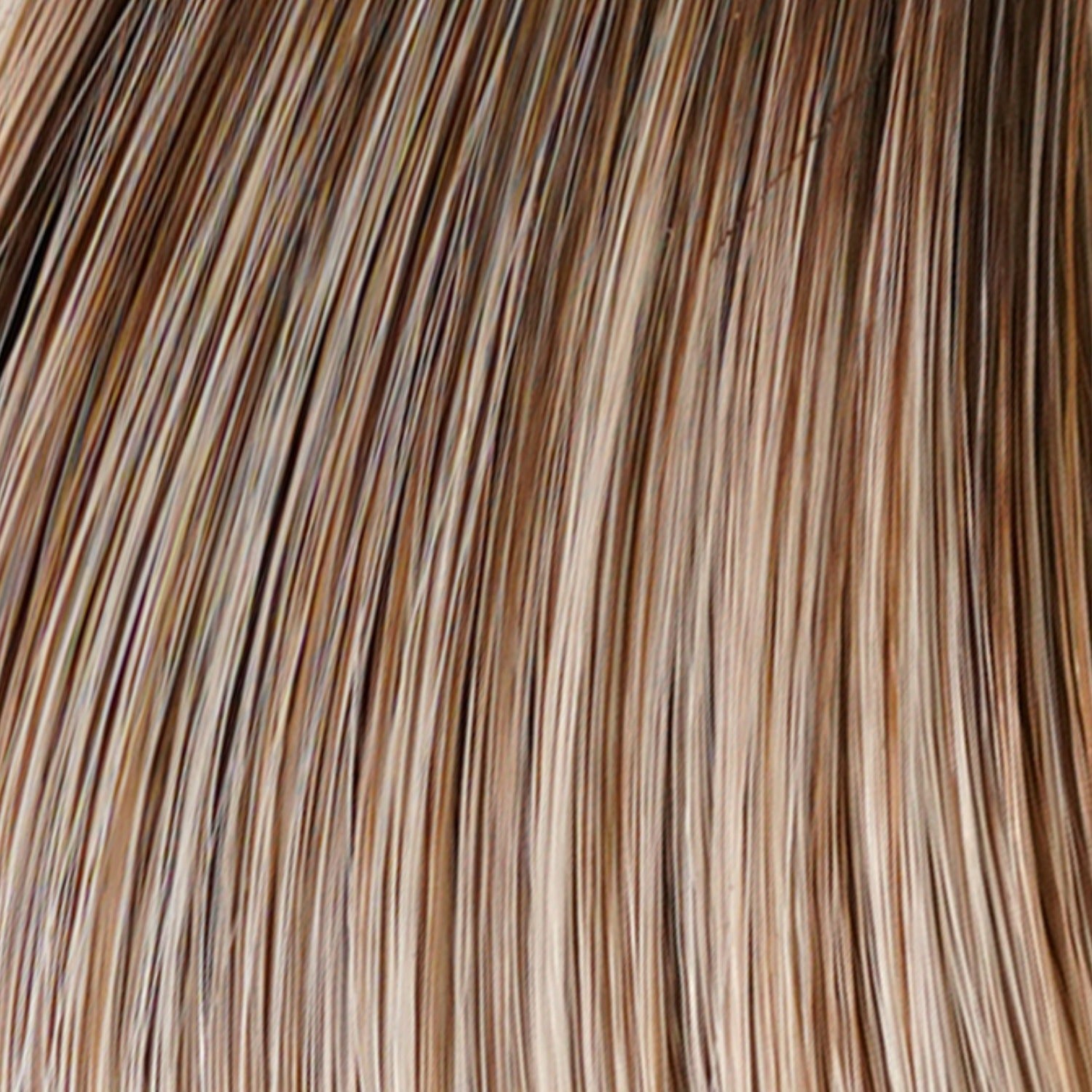 Biscotti Blonde swatch